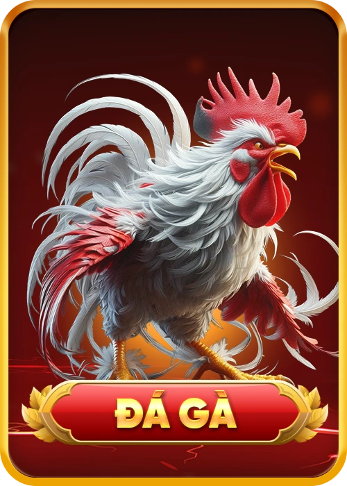 Đá gà hấp dẫn tại uu88